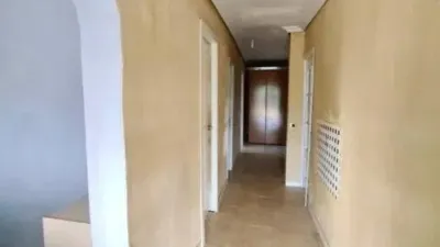 Chalet in El Molar photo 36