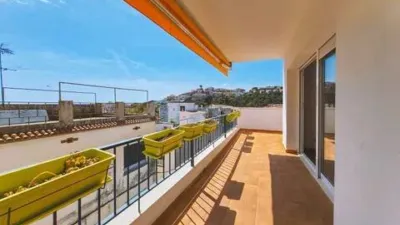 Apartment in Sant Pol de Mar photo 5