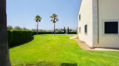 Rustic house in Palma de Mallorca photo 8