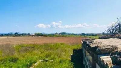 Rustic house in Muro photo 16