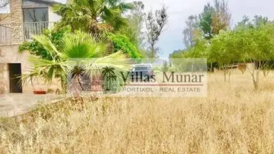 Rustic house in Muro photo 16
