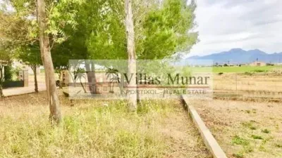 Rustic house in Muro photo 18