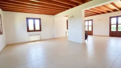 Rustic house in Palma de Mallorca photo 32