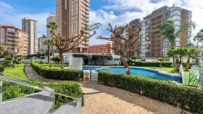 Apartment in Las Adelfas-Benicolada-Garduix photo 14