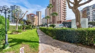 Apartment in Las Adelfas-Benicolada-Garduix photo 12