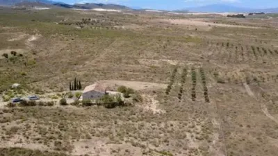 Chalet in Sorbas photo 34