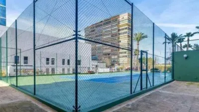 Apartment in Las Adelfas-Benicolada-Garduix photo 15