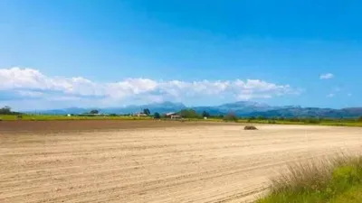 Rustic house in Muro photo 19
