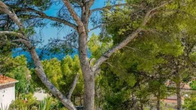 Chalet in Las Adelfas-Benicolada-Garduix photo 24