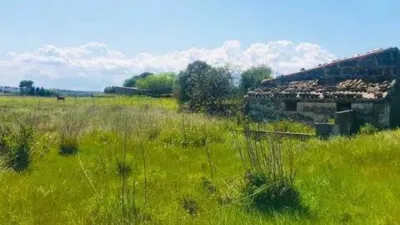 Rustic house in Muro photo 10