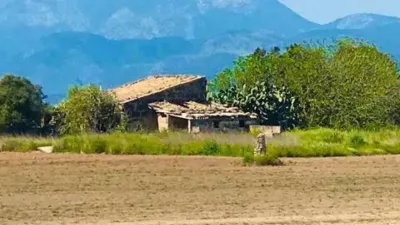 Rustic house in Muro photo 23