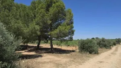 Rustic property in Villarrobledo photo 27