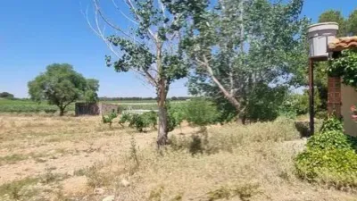 Rustic property in Villarrobledo photo 39