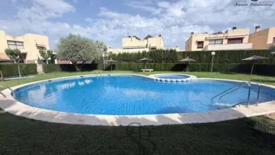 Chalet in Mutxamel photo 46