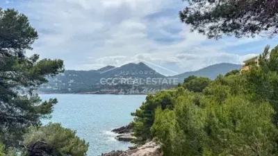 Apartment in Font de Sa Cala photo 15