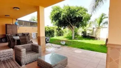 Chalet in Puerto de Santiago photo 37