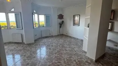 Apartment in El Saler photo 2