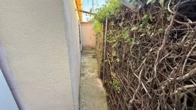 Chalet in El Molar photo 17