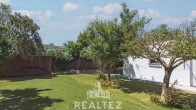 Chalet in El Palmar photo 18
