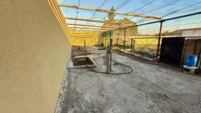 Chalet in El Molar photo 84