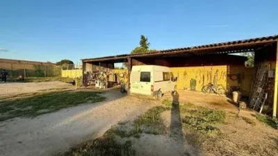 Chalet in El Molar photo 22