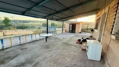 Chalet in El Molar photo 8