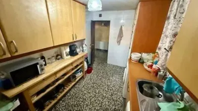 Chalet in El Molar photo 50