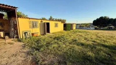Chalet in El Molar photo 18