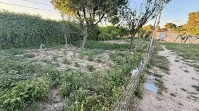 Chalet in El Molar photo 27