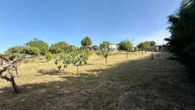 Chalet in Serracines photo 39