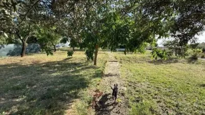 Chalet in Serracines photo 5