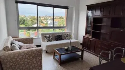 Pis – O Porto de Santa Cruz, O Monte de Casal, A Aguieira - Vista 3