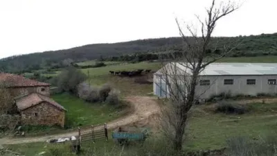 Rustic house on Padre Cornelio Street photo 12