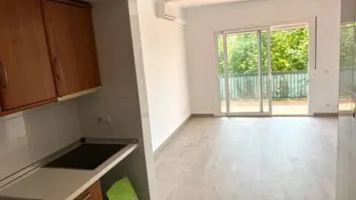 Apartment on Paseo Gregal-Pj Tipic No Number photo 10