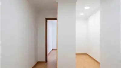 Apartment in Son Malferit photo 22