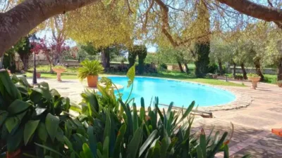 Chalet in Palma de Mallorca photo 20