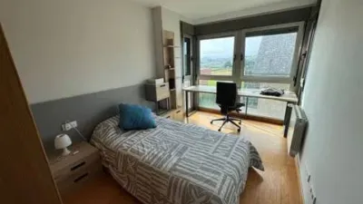 Chalet in Santa Cruz de Bezana photo 32