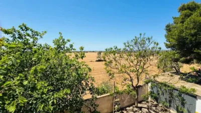 Rustic property in Son Ferriol photo 7