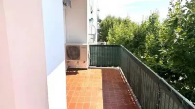 Apartment on Paseo Gregal-Pj Tipic No Number photo 11