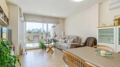 Apartment in Palau-Saverdera photo 5