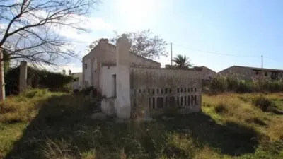 Piso – Elx / Elche, Regs del Porvenir, la Marina - Vista 4