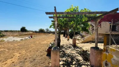 Rustic property in Son Ferriol photo 18