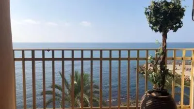 Pis – Torrevieja, El Palmeral, Serra de Tramuntana - Vista 4