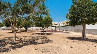 Chalet in Los Montesinos photo 41