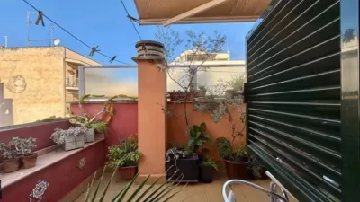 Apartment in Son Canals photo 26