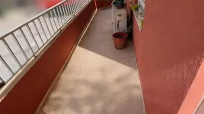 Apartment in Son Malferit photo 23