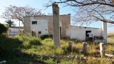 Piso – Elx / Elche, Regs del Porvenir, la Marina - Vista 3
