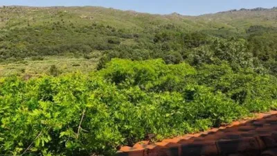 Chalet on Urb. Chorlito Street, San Martin de Trevejo, No. 6 photo 26