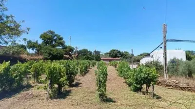 Chalet in Perales del Puerto photo 2