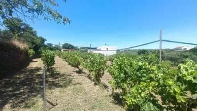 Chalet in Perales del Puerto photo 3